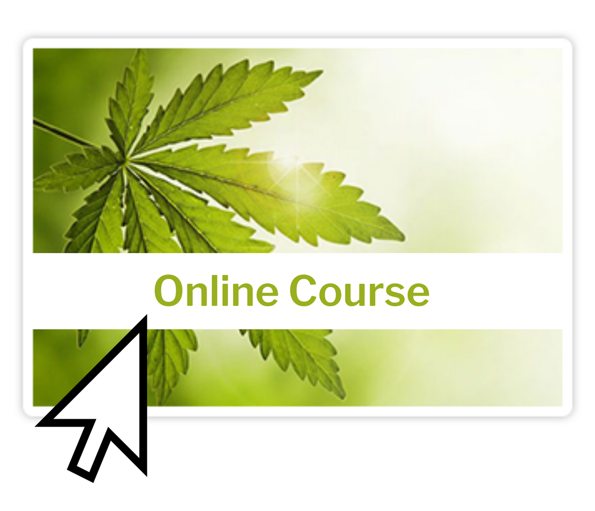 Cannabis In The Workplace Online Course – ShopTrainCan